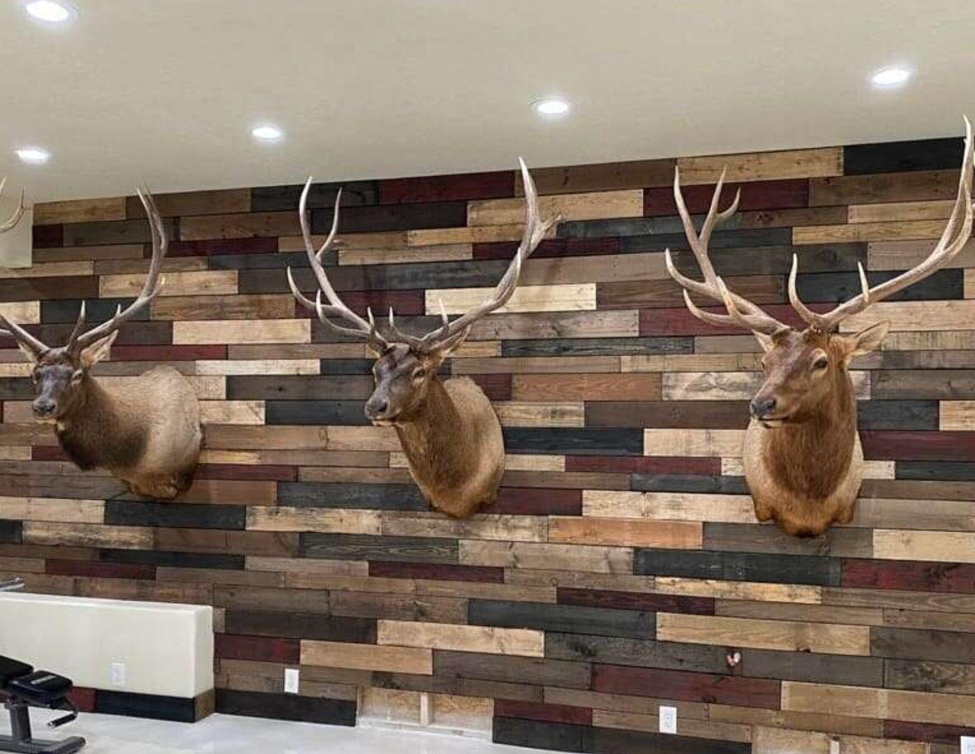 Reclaimed Pallet Walls for trophy mounts